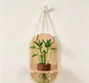 Conjunto de Plantas Verdes Hidropônicas de Parede com Suporte de Parede de Madeira Natural para Sala de Estar, Quarto, Mesa, Decoração Fresca, Plantas Fáceis de Cuidar