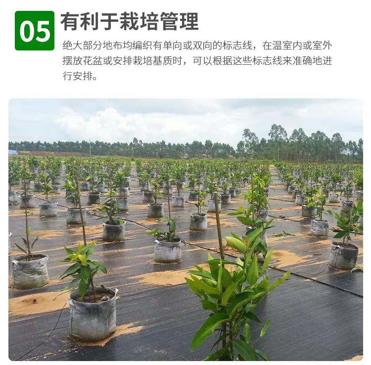 防草布_10.jpg