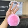 Pingente Chaveiro de Maçã de Pelúcia com Significado de Paz e Alegria, Pingente de Bolsa, Pingente de Cordão de Mão para Celular, Presente para Melhor Amigo