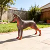 Modelos de Animales Realistas: Doberman, Golden Retriever, Perro de Peluche, Husky, Collie - Adornos para Coche y Juguetes para Niños