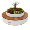 Combinación de maceta redonda para flores y maceta para árboles con asientos para paisajismo interior en centros comerciales, jardineras para plazas y parques, asientos junto a árboles, jardineras con plantas verdes