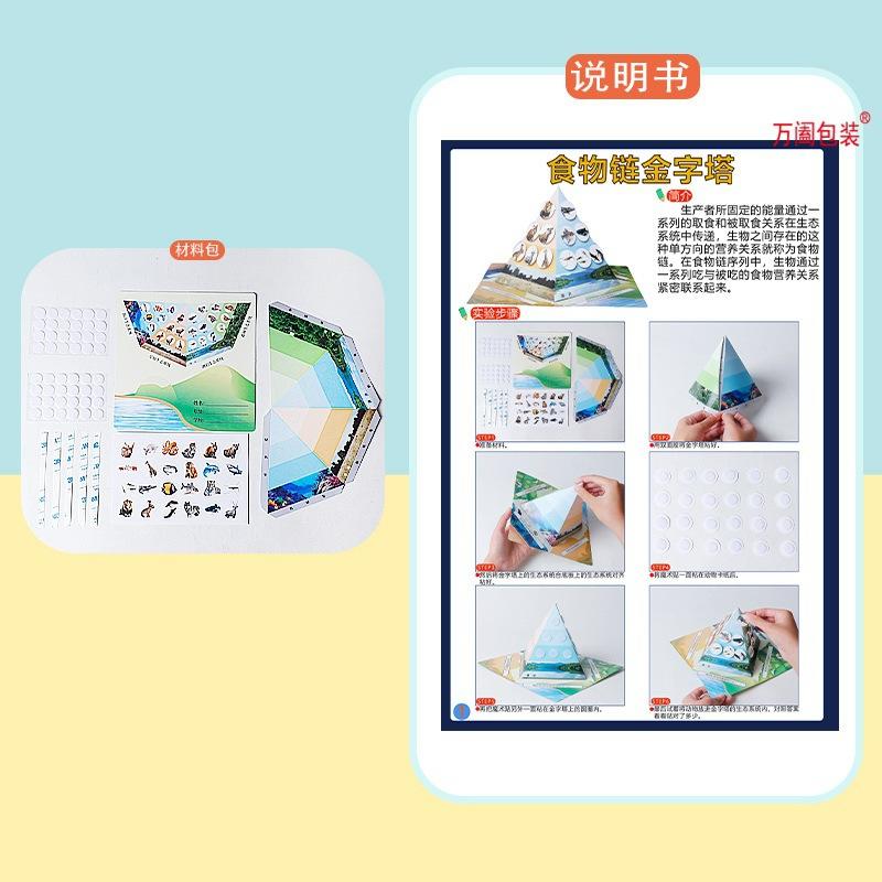 儿童玩具科学实验食物链金字塔手工diy科技小制作生物纸盒批发