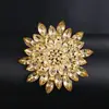 Broche de Acrílico da Moda para Mulheres, Alfinete Eletrodepositado em Liga, Broche Acessório de Roupa
