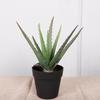 Aloe Vera Artificial Escandinavo en Maceta Decoración Interior para el Hogar Maceta Grande Suculentas Adornos Planta Verde Artificial Aloe Vera Mayoreo