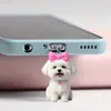 Plug de Pó para Celular Cruzado 2D Plano de Acrílico Ornamento Tipo Pingente de Gato Fofo Interface Oval Tipo-C Desenho Animado