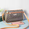 Bolso de verano para mujer, nuevo bolso de hombro combinable para mediana edad, regalo para madre, bolso de mensajero atmosférico, bolso de mujer Shiling, venta al por mayor