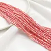 Conchas Naturales Tubo Redondo Pequeño Colorido Espaciador Cuentas Sueltas Cuentas Barril Pulsera DIY Cuentas para Hilo Accesorios de Joyería Productos Semi-Terminados