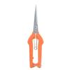 Tijeras de recolección de fruta alargadas tijeras de recolección de fruta 245 mm negro níspero pimienta flor rama tijeras tijeras de jardinería