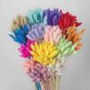 Liquidação E-commerce Transfronteiriço Comércio Exterior Atacado Flores Secas Coloridas Tingidas Capim Rabo de Coelho Arranjo de Flores para Vaso de Pequeno Buquê DIY Combinação