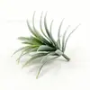 Venta Caliente en Ebay Helecho Artificial de Plástico Escarcha Blanca Plantas Acuáticas Guirnalda DIY Ramillete Pared de Flores Sombrero de Paja Flor de Muñeca Accesorios
