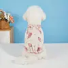Falda de Burbujas Arrugadas, una Falda con Tirantes para Mascota de Primavera y Verano, Vestido de Princesa Suave con Lindos Dibujos Animados, Ropa Delgada