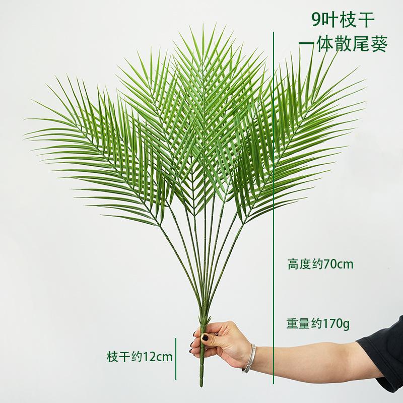 9叶一体枝干散尾