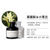Óleo essencial de aromaterapia sem fogo de rattan, fragrância duradoura para ambientes internos, desodorante para banheiro, decoração de quarto, atacado