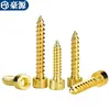 Tornillos Autorroscantes Hexagonales Cabeza de Copa de Acero Inoxidable 304 Chapado en Titanio Dorados Tornillos para Madera Hexagonales M2M2.5-M6