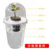 Vasos para Flores de Sementes Hidropônicas, Copos Plásticos para Mudas, Cultivo de Sistema Radicular, Plantio de Batata Doce Suculenta, Cestas de Plantio, Plantio de Alho, Crescimento de Vegetais