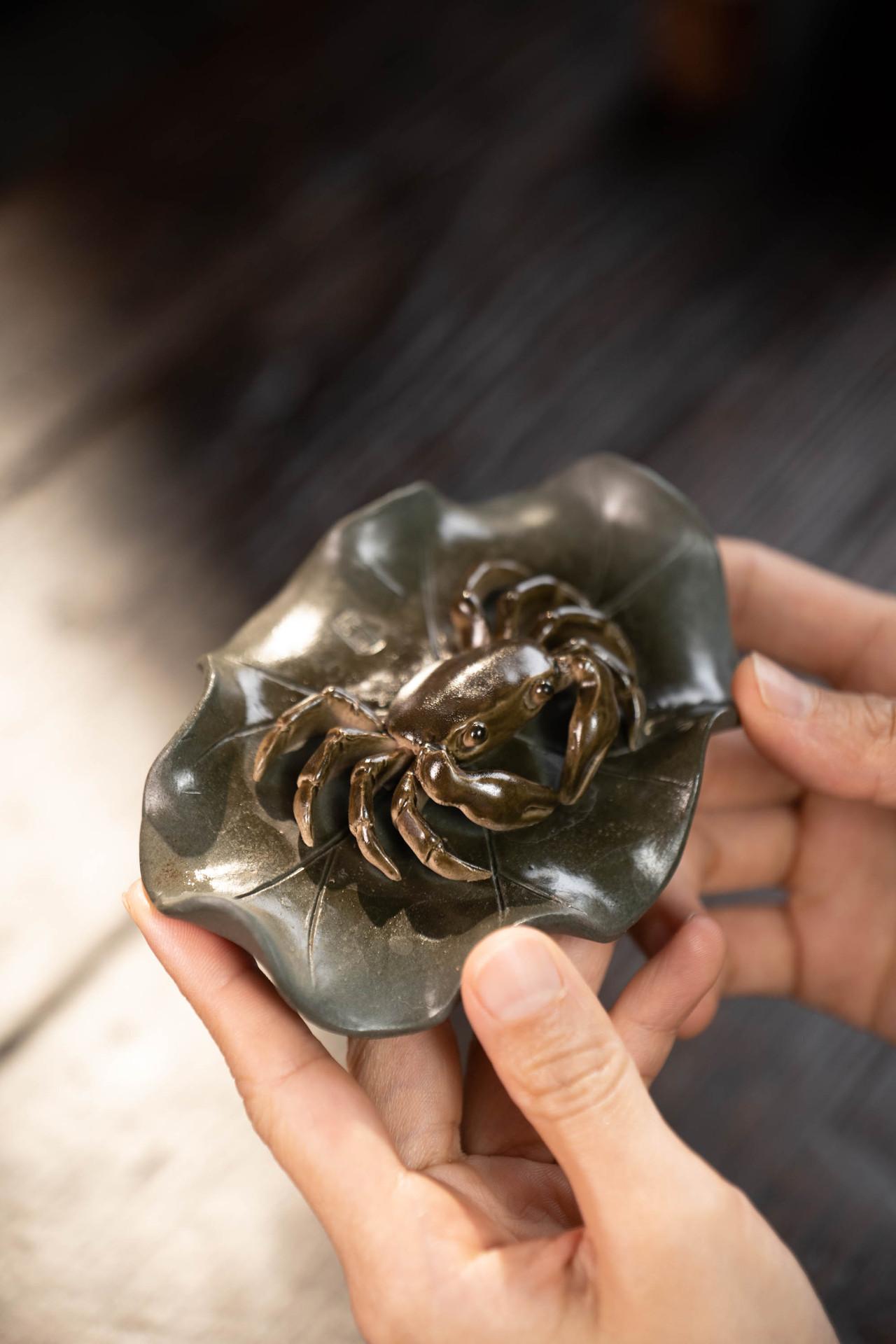 变色螃蟹20230516 (10).jpg