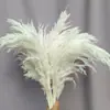 Flores secas de junco blanqueado, Juncos, Hierba de pampa, Estilo Ins nórdico, Más vendido en Amazon, Venta al por mayor de fabricante de Yunnan