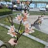 Fabricante de Hortênsias Cor Champagne Materiais de Flores para Casamento Recomendados Várias Hortênsias Cor Champagne Rosas Flores Artificiais Atacado