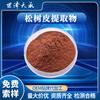 Extracto de corteza de pino 20:1 polvo soluble en agua de corteza de pino Antocianinas de corteza de pino Pyrex Extracto de corteza de pino