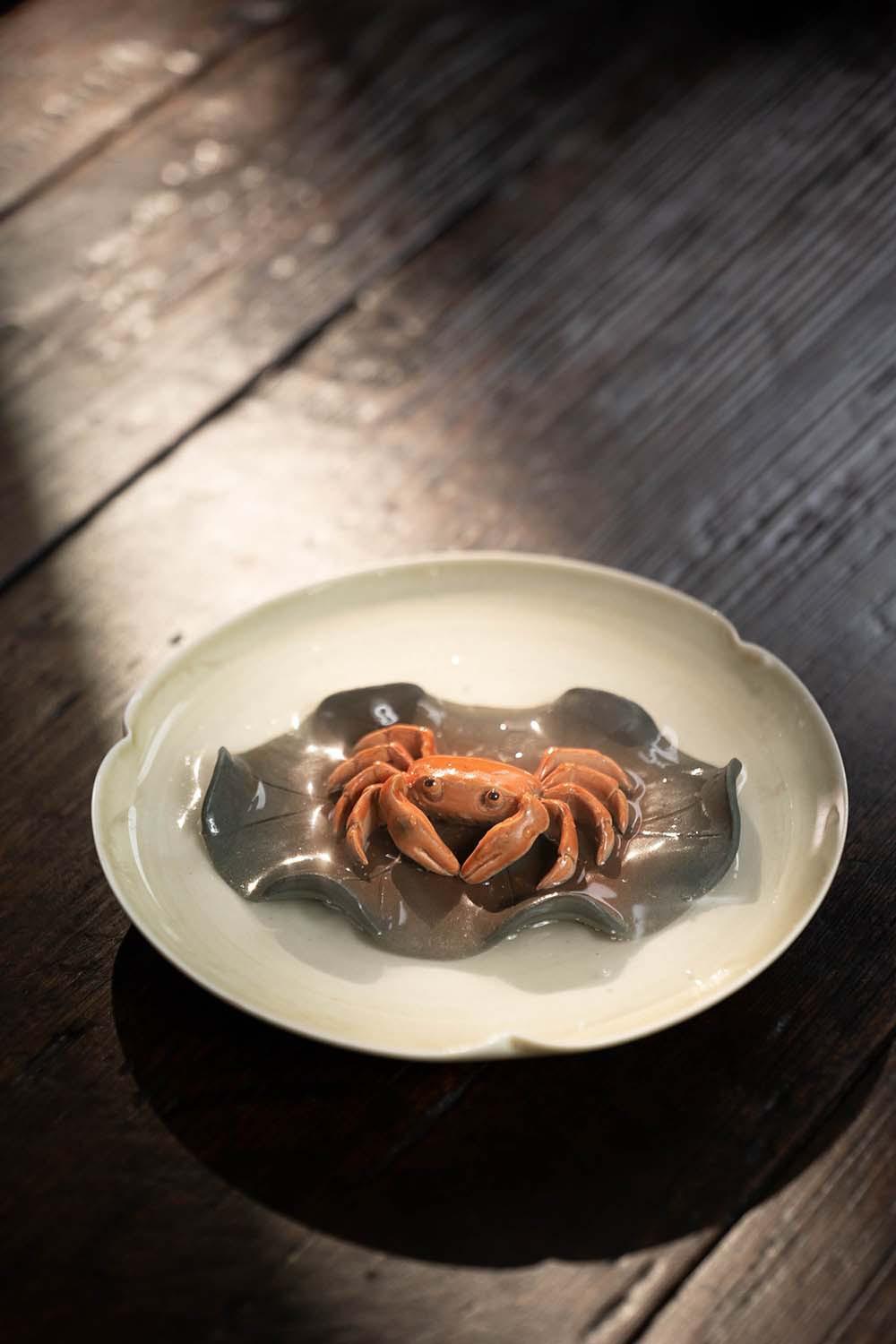 变色螃蟹20230516 (6).jpg