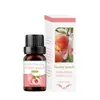 Comercio exterior transfronterizo aceite esencial de aromaterapia soluble en agua humidificador piedra expansora aceite esencial interior armario ambientador incienso fresco