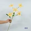 Material para Decoração de Casamento com Flores Artificiais: Haste Única de Orquídea Phalaenopsis Impressa em 3D com 5 Flores, Produto Popular Transfronteiriço para Criar Ambiente em Shoppings