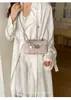 Bolso de cadena nuevo para mujer, bolso cruzado de nicho de alto valor, bolso de hombro acolchado con lazo estilo coreano, venta al por mayor para comercio exterior