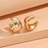 Aretes Acrílicos Simples en Forma de C de Nuevo Estilo Transfronterizo Aretes Acrílicos de Alto Grado con Baño de Color Aretes Huecos de Lujo Ligero para Mujer