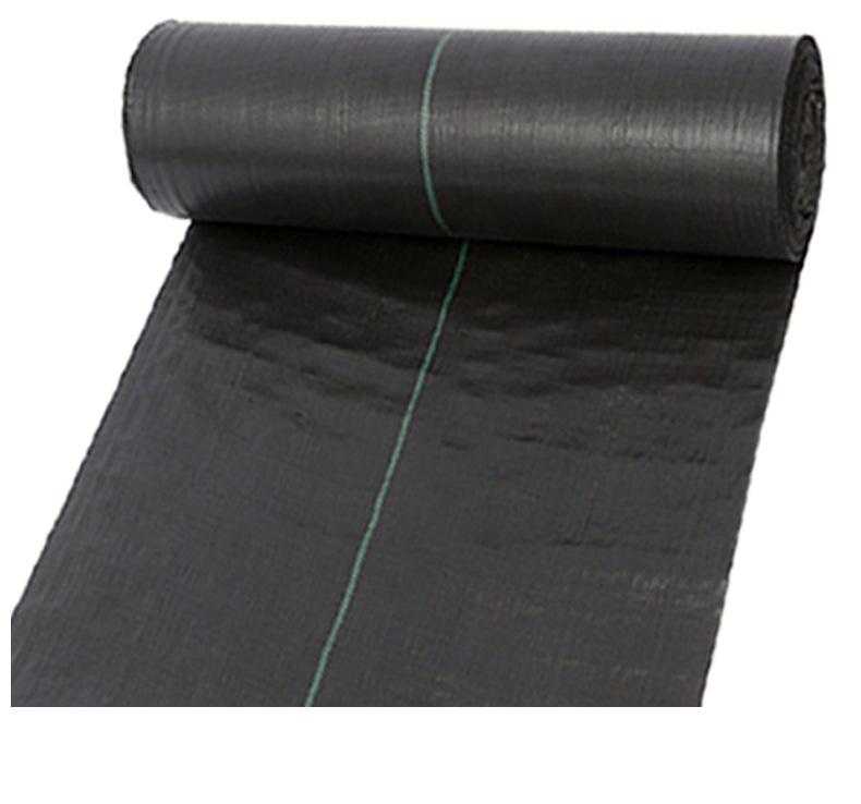 聊城绿色--(11)_04