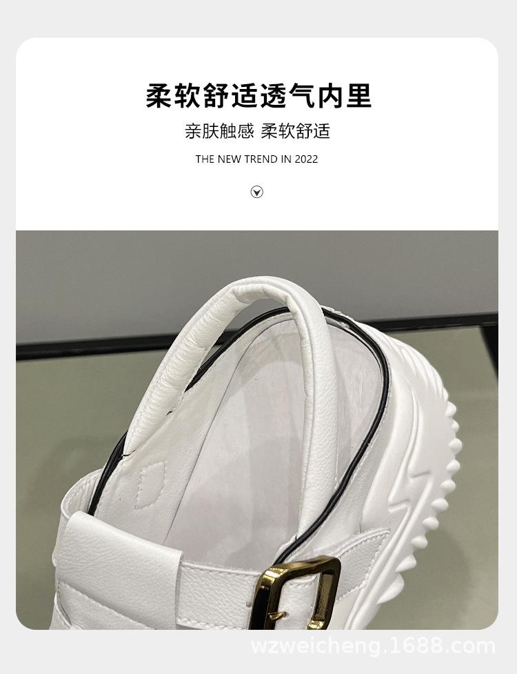 伟诚 (12).jpg