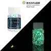 Polvo de Lentejuelas Luminosas con Brillo Transfronterizo 12 Colores Mezclados Polvo de Brillo Fluorescente Pegamento Flujo de Cáñamo DIY Lentejuelas Luminosas para Uñas