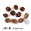 Flor Seca Decorativa Algodón Bellota Cono de Pino Rama Hojas Flor de Loto Creativo diy Jardín de Niños Hecho a Mano Anillo Bolsa de Material Creativo