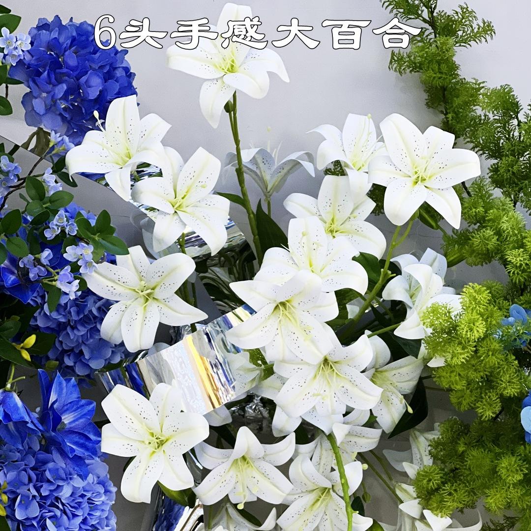 微信图片_20230304114452_副本