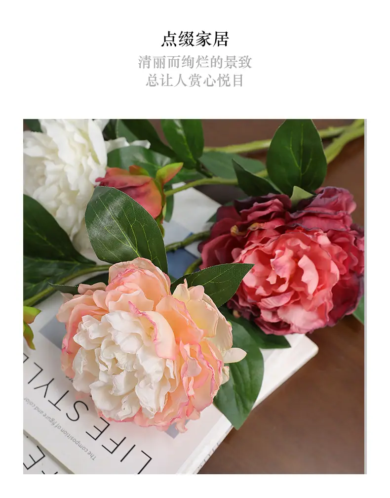 可留斯2头牡丹_08.jpg