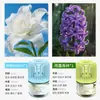 Novo Modelo para Entrega: Zhumeng Casa Celebridade da Internet Sem Fogo Líquido Refil de Aromaterapia para Quarto de Menina Fragrância Gaiola de Pássaro Pequeno Perfume