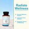 Producto de gran venta transfronteriza: Cápsulas Prebióticas Todo en Uno para la Salud Intestinal Litio, Artículo Popular de Comercio Exterior al por Mayor, Disponible para OEM