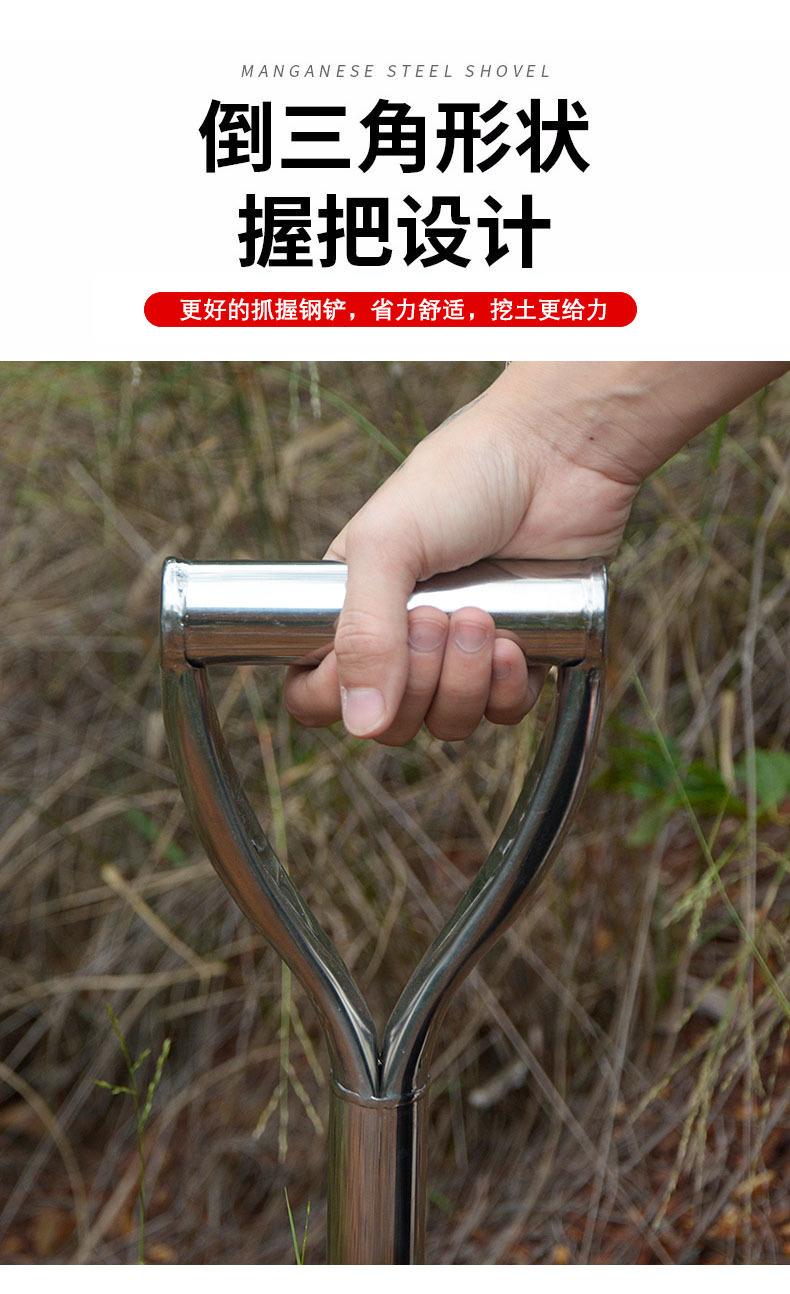 详情5