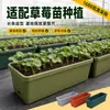 Jardinera rectangular para balcón, caja especial de resina para cultivar verduras y fresas en el balcón de casa, maceta de plástico extragrande