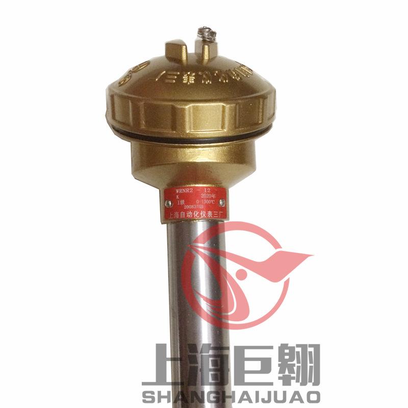 WRNR2-12化工热电偶800副本.jpg