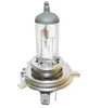 Comercio Exterior Más Vendido Lámpara Halógena H1H3 Ojo de Águila 12V24V Lámpara de Coche de Alta Calidad Luz Alta y Baja Venta Directa de Fábrica