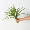Simulación de Hierba Clorofita de Manojo de 2 Cabezas Planta Piña de Aire Planta Clorofita en Maceta Planta Verde Decoración Diseño de Escena de Paisaje