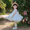 Vestido de Princesa para Niña Día del Niño Super Hada Primer Cumpleaños Vestido de Gasa Dama de Honor Boda Vestido para Niña Pequeña Falda de Tutú