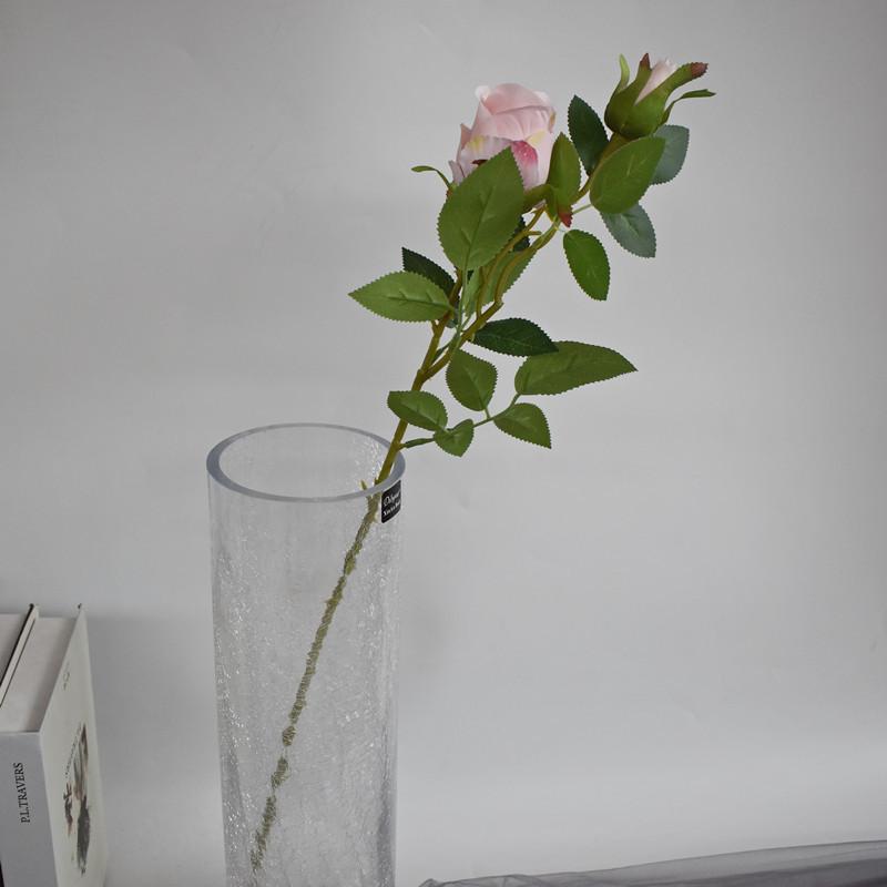 2头玫瑰浅粉色1