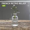 Vaso de Vidro de Luxo Leve de Alta Qualidade Estilo Ins Mini Vaso Francês Transparente Garrafa de Aromaterapia Decoração de Casa Atacado