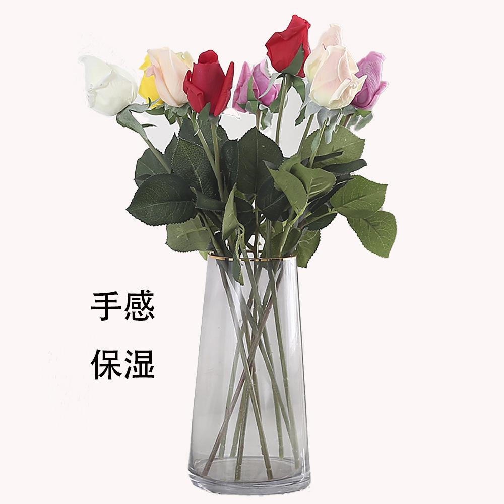 第二套1