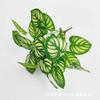 Fornecimento Direto da Fábrica de 7 Plantas Verdes Similares de PVC, Estrelas de Rabanete Verde, Folhas Falsas, Presentes, Decoração para Quarto de Casamento, Enfeites Decorativos