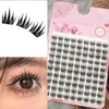 Pestañas Postizas Transfronterizas Flor Pequeña Gato Pegamento Set Sesión de Fotos Impresionante en Cámara Gruesas Voluminosas en Capas Comercio Exterior Más Vendido
