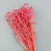 Suministros del Fabricante Flor Eterna Cardo Azul Caja de Regalo Accesorios Amante Eterno Fruta Flor Eterna Colgante para Coche Material Floral Flores Secas