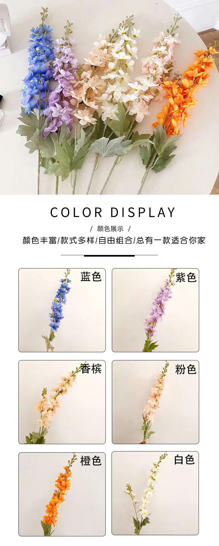 飞燕草_05.jpg