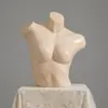Soporte de Exhibición para Modelo de Ropa Interior de Medio Cuerpo para Tiendas de Ropa Interior para Hombres y Mujeres, Soporte para Modelo de Cuerpo Completo Falso de Ropa Interior, Accesorios de Modelo de Cadera